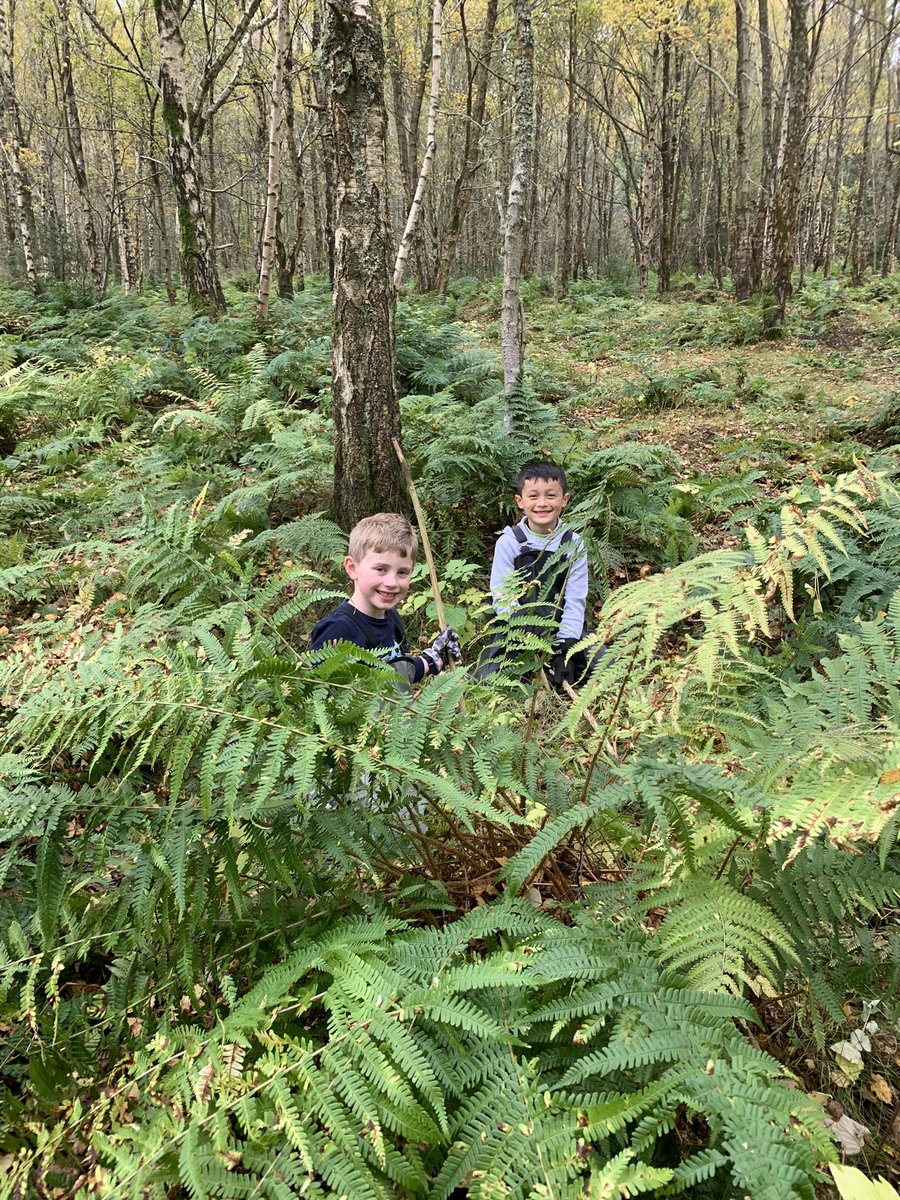 LeafyTrailsFS's tweet photo. Itβs the little things at Beastie Club on Day 2 πΏππππ₯
#nature #outdooradventures #denbuilding #makingmemories2024 #whittling #climbingtrees #bushcraft #friendship #minibeasthunt #hotchocolate #hotdogs #smores #marshmallows #campfire #flintandsteel #firelighting https://t.co/JvxxgEv5yL