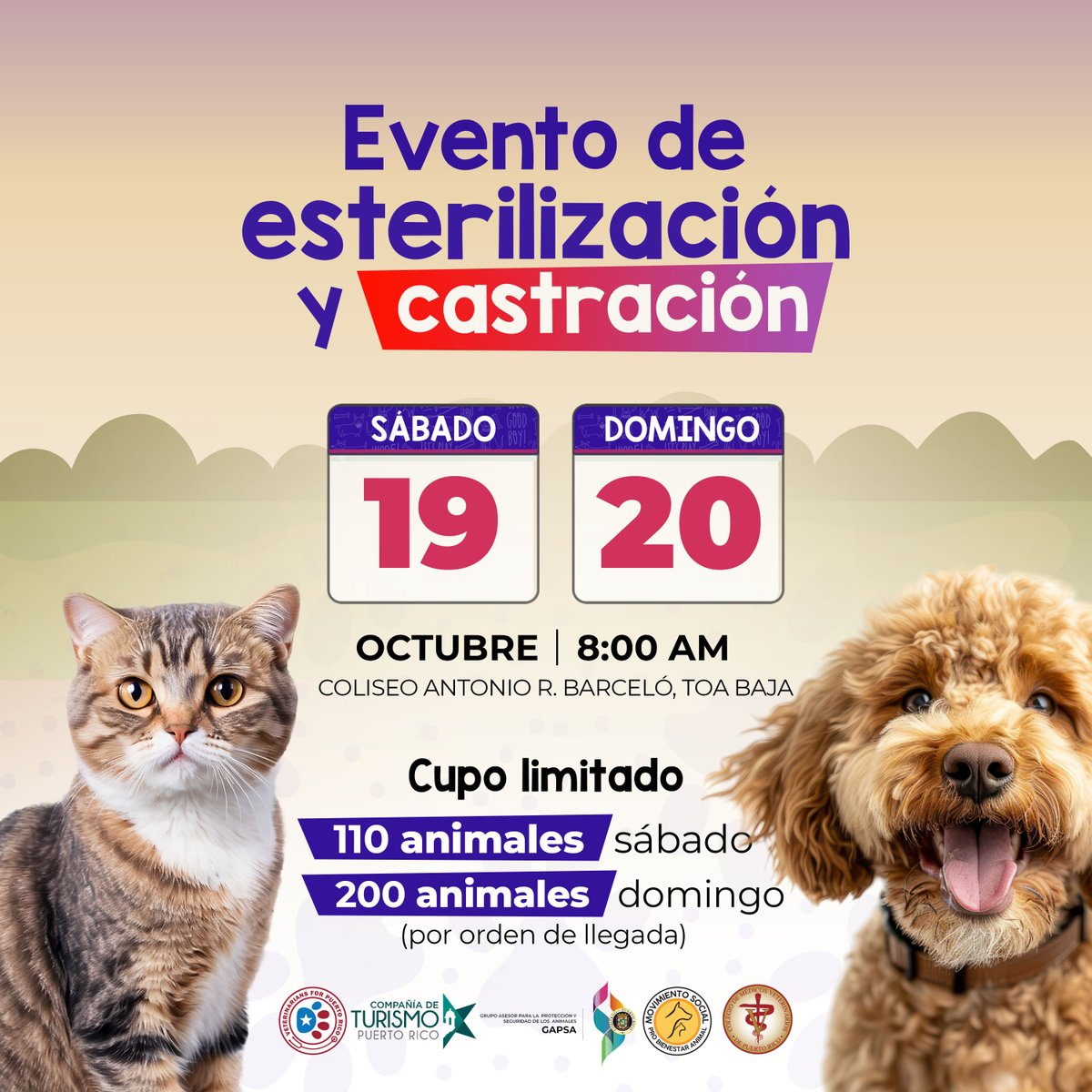 PRGAPSA's tweet image. 📢 ¡Evento especial de esterilización y castración de perros y gatos! 🐾
📅 19-20 de octubre
⏰ 8:00 a.m. 
📍Coliseo Antonio R. Barceló, Toa Baja
🎫 Cupo: 110 animales sábado / 200 domingo (por orden de llegada).

¡Juntos cuidamos a nuestros peluditos! 🐶🐱