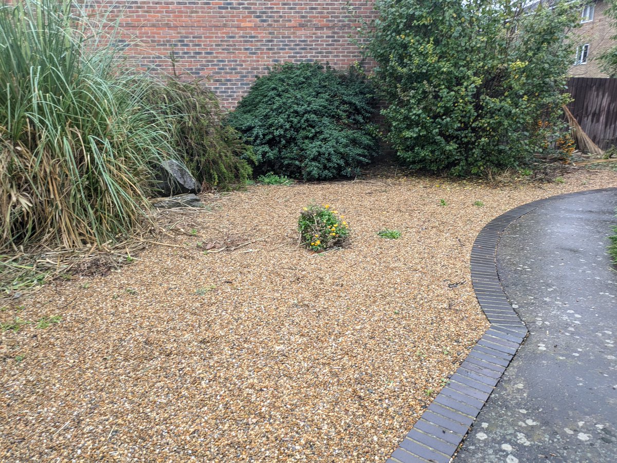 Hope Garden tweet media