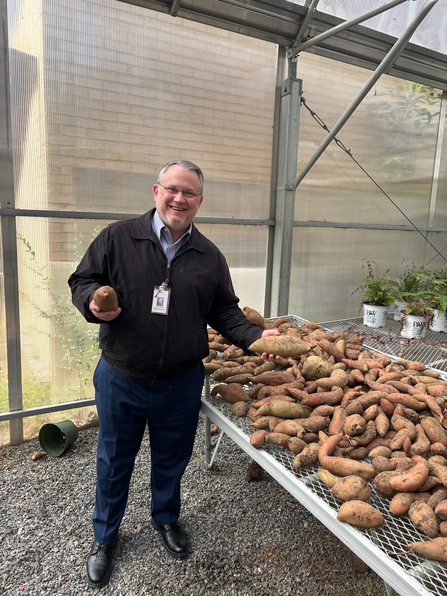 One of the great things about being a CTE Director is getting to visit some amazing programs…and getting sweet potatoes from your Agriculture Teachers! ⁦<a href="/NWHigh/">Northwest Cabarrus</a>⁩ ⁦<a href="/CabCoSchools/">Cabarrus Co. Schools</a>⁩ ⁦<a href="/CabarrusCTE/">Cabarrus County CTE</a>⁩ Thanks Jackie for taking my picture.