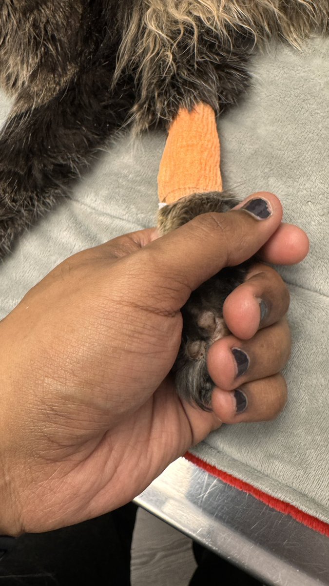 Adrian | Okaydrian tweet media