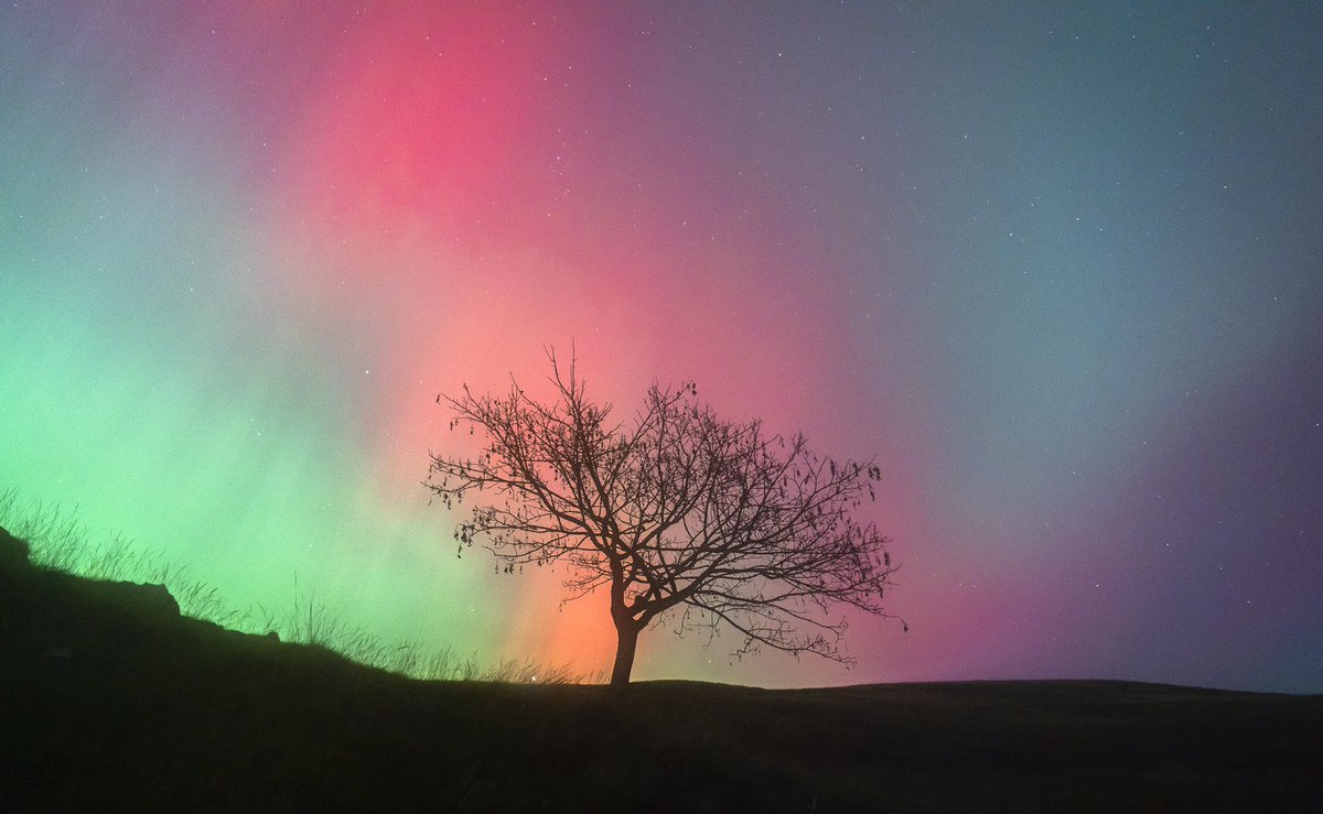 The Dreaming Tree. #Aurora #lakedistrict #landscapes #tree <a href="/OPOTY/">Outdoor Photography</a> <a href="/TGOMagazine/">The Great Outdoors</a> <a href="/SonyAlpha/">Sony | Alpha</a> <a href="/kasefiltersuk/">Kase Filters UK</a> <a href="/Lowepro/">Lowepro</a> @Benro_UK