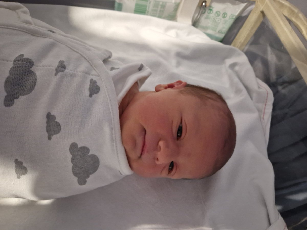 Luke Smith tweet media