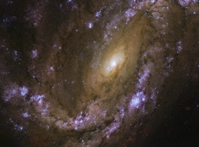 A massive spiral galaxy fills the image. Its yellow center is visible just right of center, surrounded by sweeping spiral arms full of dark brown dust and violet clusters of stars. 