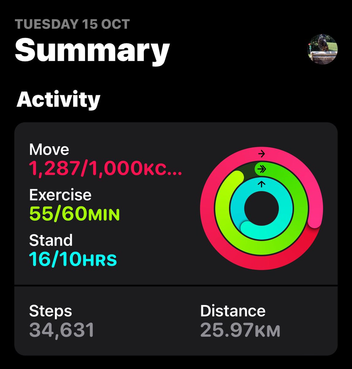 Tell me yearling season has started without telling me - Solid 16hr day… 

Very much looking forward to a few days at <a href="/CheltenhamRaces/">CheltenhamRacecourse</a> next week!