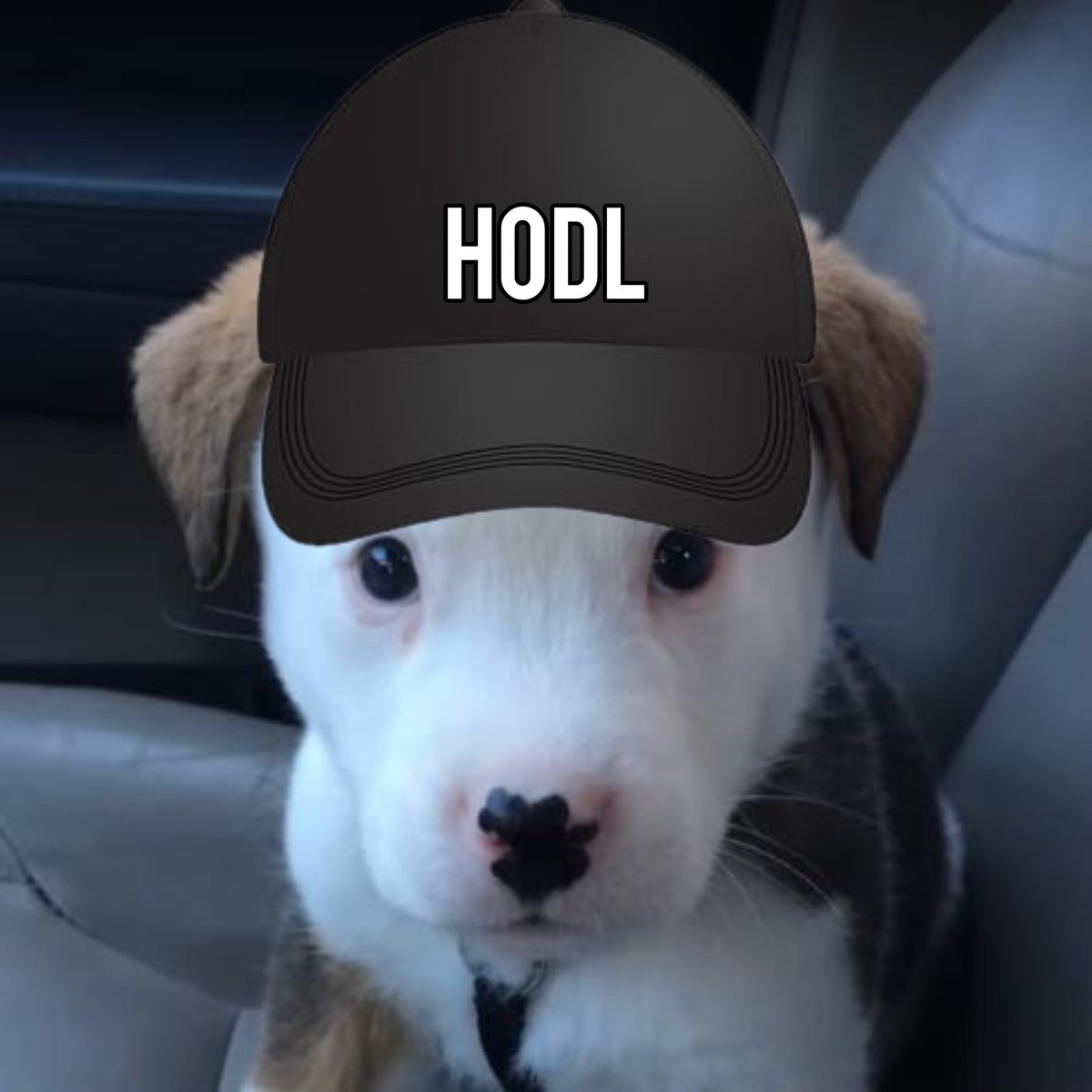 <a href="/caseyfordalexan/">Casey Ford Alexander</a> Like $Buck