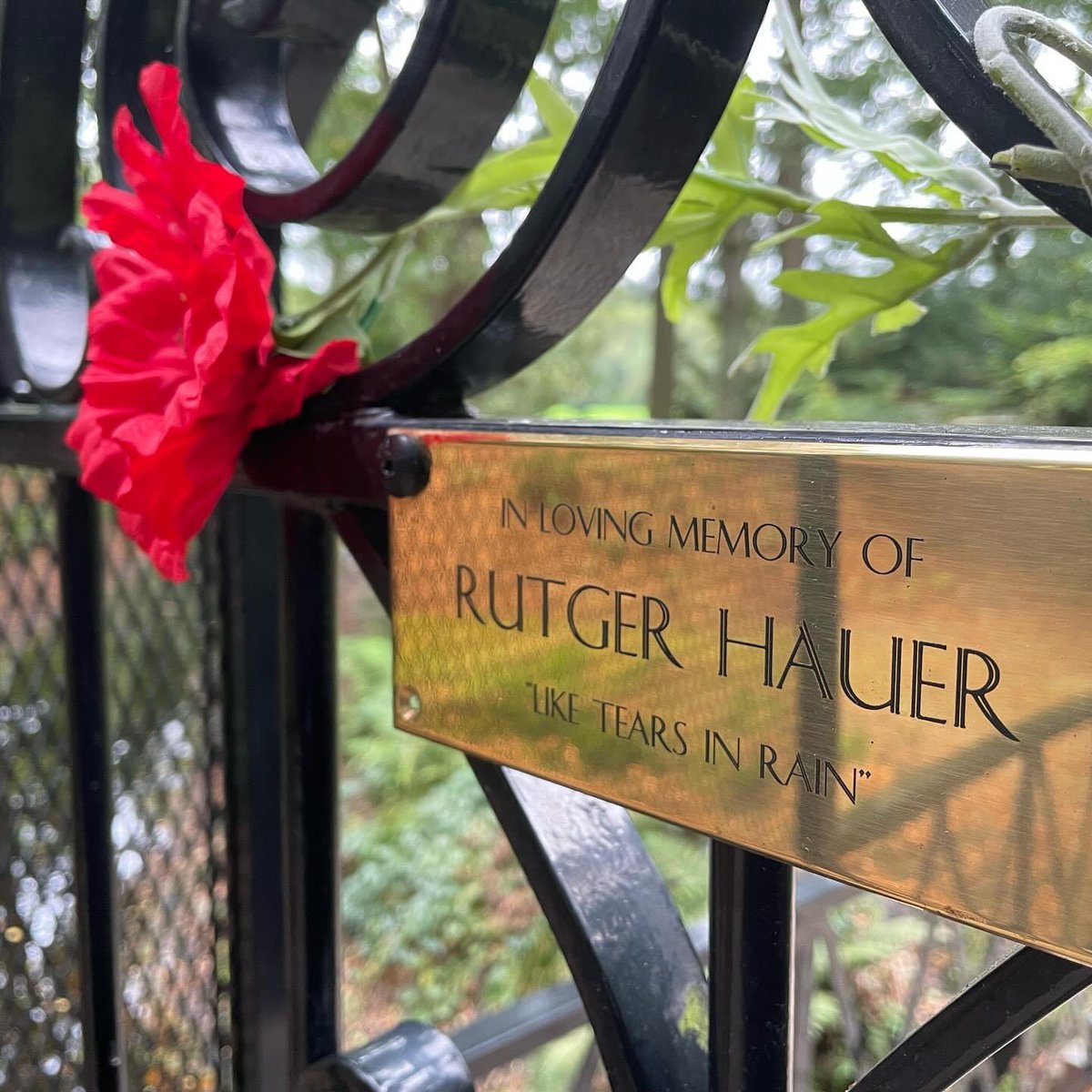 ©KP2011 (@krantenrss) on Twitter photo 