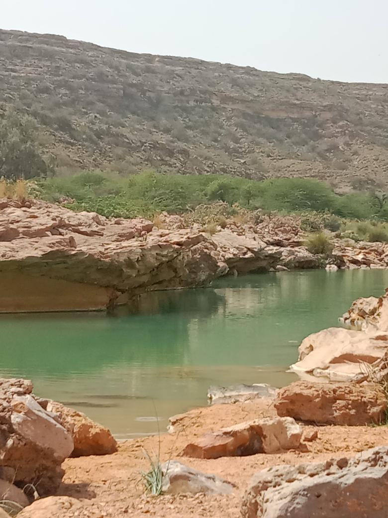 BalochHafeez201's tweet image. کیرتھر نیشنل پارک سندھ کا اثاثہ ہے، ہم اس کے لیئے سیاسی اور قانونی جنگ لڑ رہے ہیں، کل سندھ ھائی کورٹ کے حکم پر سیشن جج ملیر نے ہمارے ساتھ مل کر کیرتھر نیشنل پارک کے ساؤتھ ایریا کا وزٹ کیا، جس کے دوران مقامی لوگوں نے محترم جج کے سامنے تمام حقائق بیان کیئے ...
1/5
#SaveKirthar