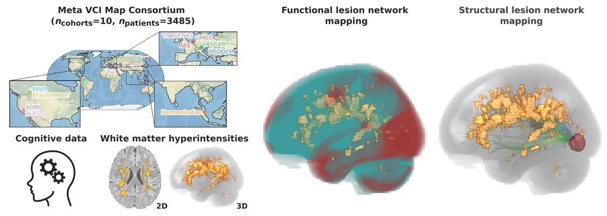 Petersen et al. show that assessing the brain circuitry affected by cerebrovascular white matter lesions improves the accuracy with which cognitive performance can be predicted in memory clinic patients compared to using lesion volume alone. tinyurl.com/3fs85658