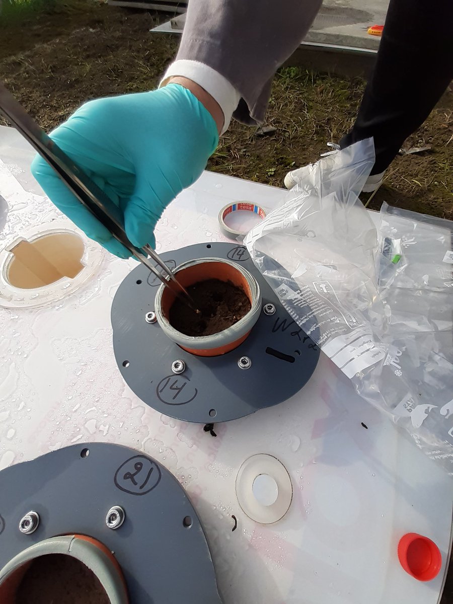 AgMicro-Lab (@agmicro_lab) on Twitter photo Exciting - we <a href="/AKiewnick/">Andrea Braun-Kiewnick</a> <a href="/DoreenBabin/">Doreen Babin</a> started a new, close-to-field inoculation experiment of the RhizoWheat project today with our collaborators from Forschungszentrum Jülich...stay tuned for the results! 🦠🌾 Exciting - we <a href="/AKiewnick/">Andrea Braun-Kiewnick</a> <a href="/DoreenBabin/">Doreen Babin</a> started a new, close-to-field inoculation experiment of the RhizoWheat project today with our collaborators from Forschungszentrum Jülich...stay tuned for the results! 🦠🌾