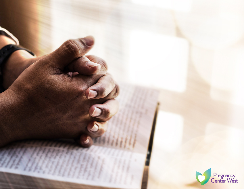 FriendsofPCW's tweet image. Still time to honor a soul and save a life. Donate before midnight this All Souls’ Day. #EveryLifeMatters #babies #prolife #AllSoulsDay onecau.se/_73ed81