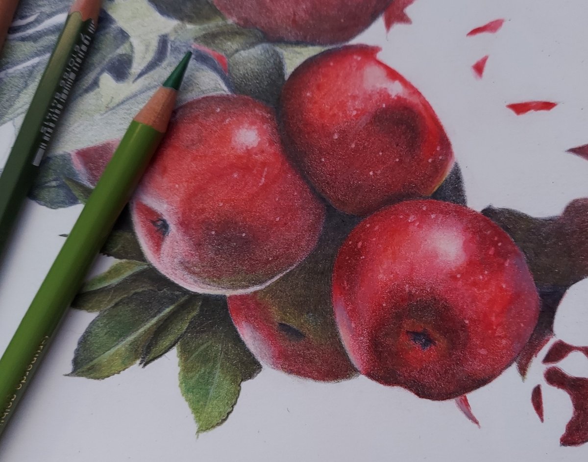 Sorry I've been so quiet, things have just been... strange.  Anyway, here's some apples I'm just now working on!  Happy fall!  <3 <3

#Art #colorpencil #fabercastel #fruit #stilllife