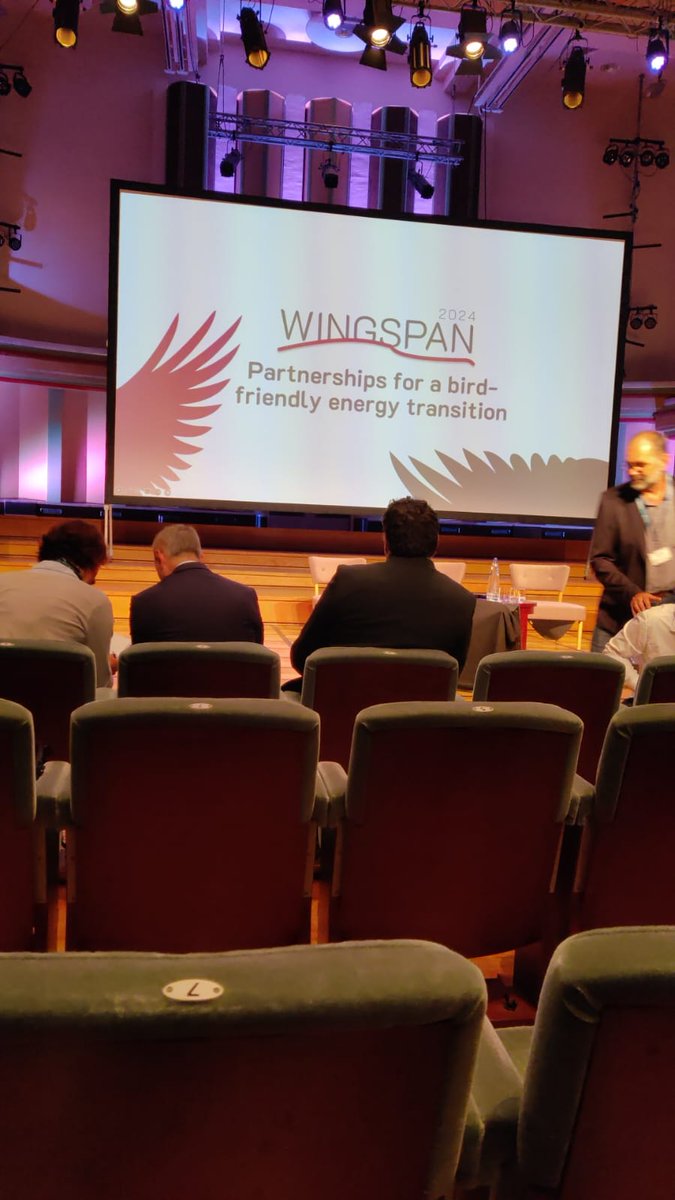 Ana_LuBarros's tweet photo. First day at #Wingspan2024 has been very interesting 🪶 Being new to the bird world it has been a great opportunity to learn and connect with other projects 🤝

@LPNatureza https://t.co/X8gzfA7Cpb