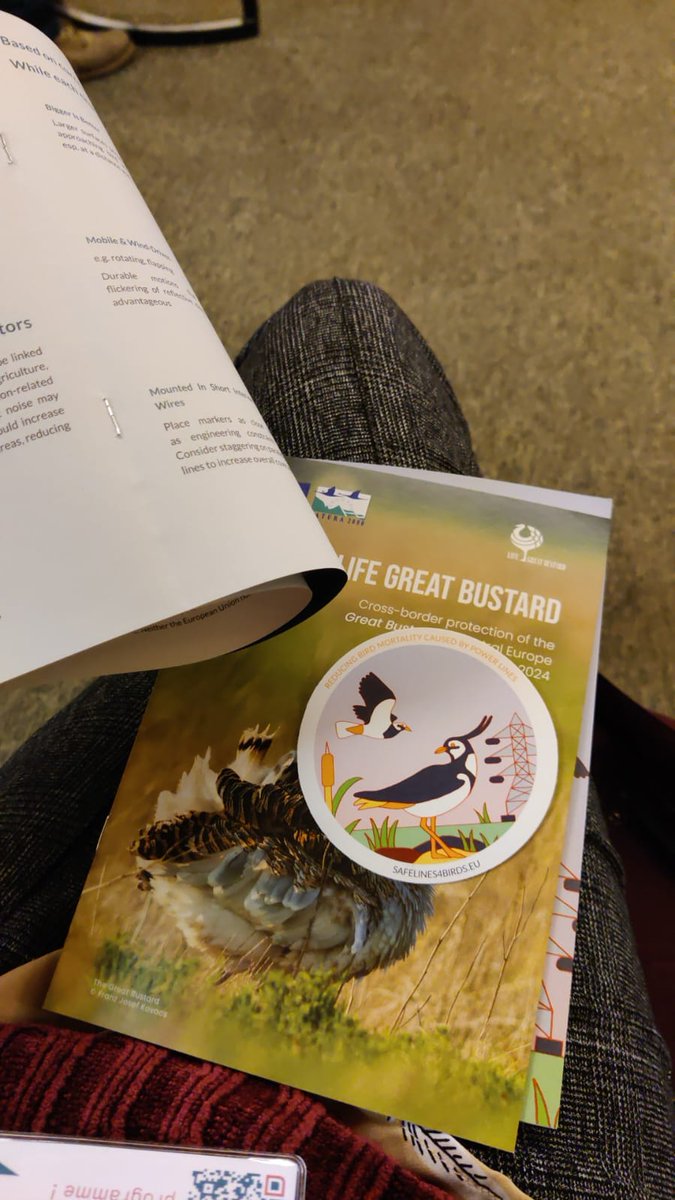 Ana_LuBarros's tweet photo. First day at #Wingspan2024 has been very interesting 🪶 Being new to the bird world it has been a great opportunity to learn and connect with other projects 🤝

@LPNatureza https://t.co/X8gzfA7Cpb