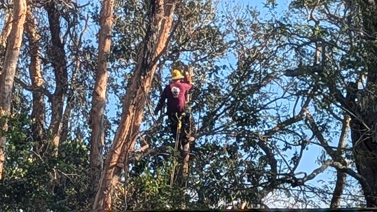 DE_JeffB's tweet photo. Crews working behind homes and up on poles to restore @DukeEnergy customers off 7th St S and 63rd Ave S and surrounding streets near Bahama Shores. #MILTON @StPeteFL https://t.co/fprtYhCE9g