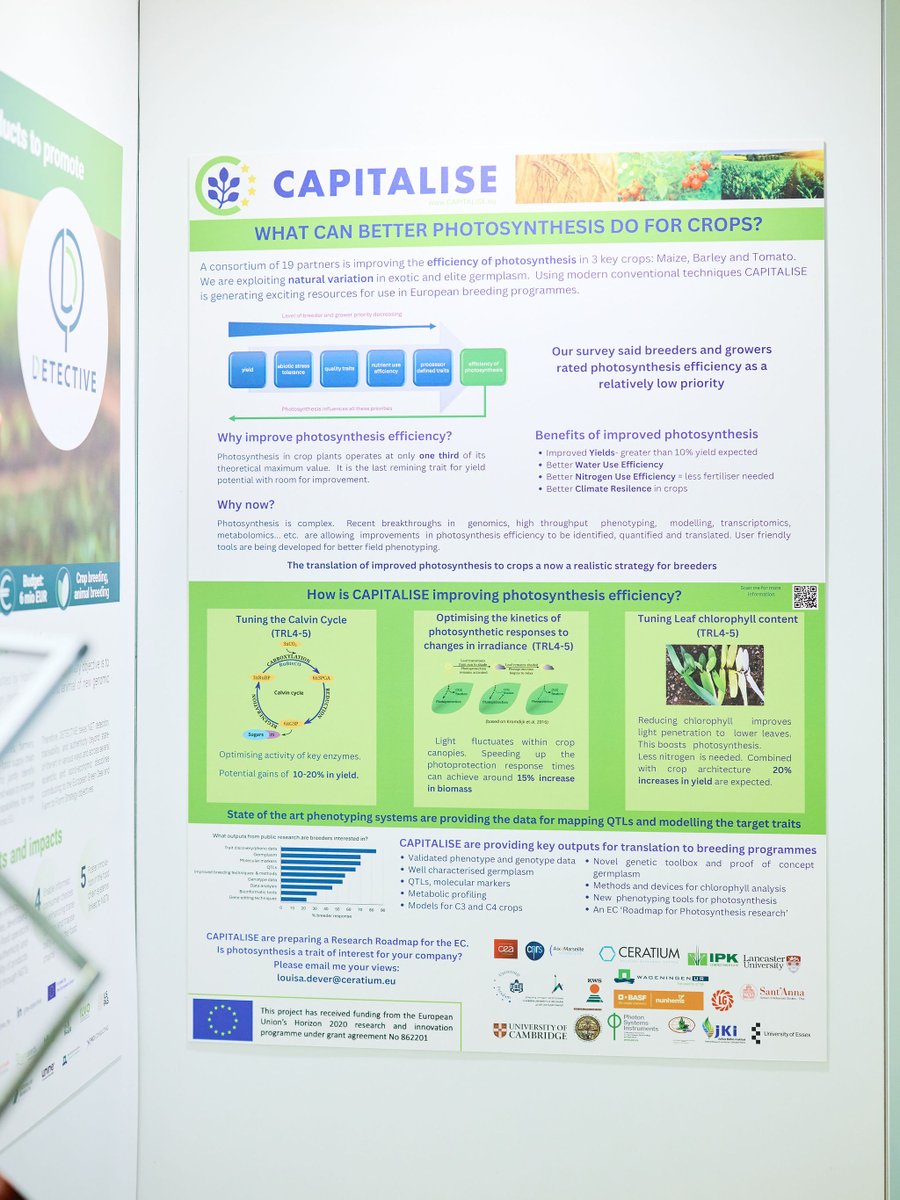 If you are enjoying the #Euroseeds2024 Congress in Copenhagen go visit our poster. We would love some feedback!#crops #photosynthesis