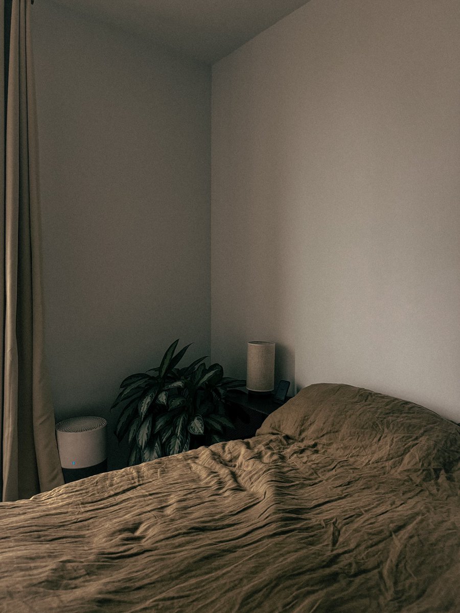 Daniel Mui tweet media