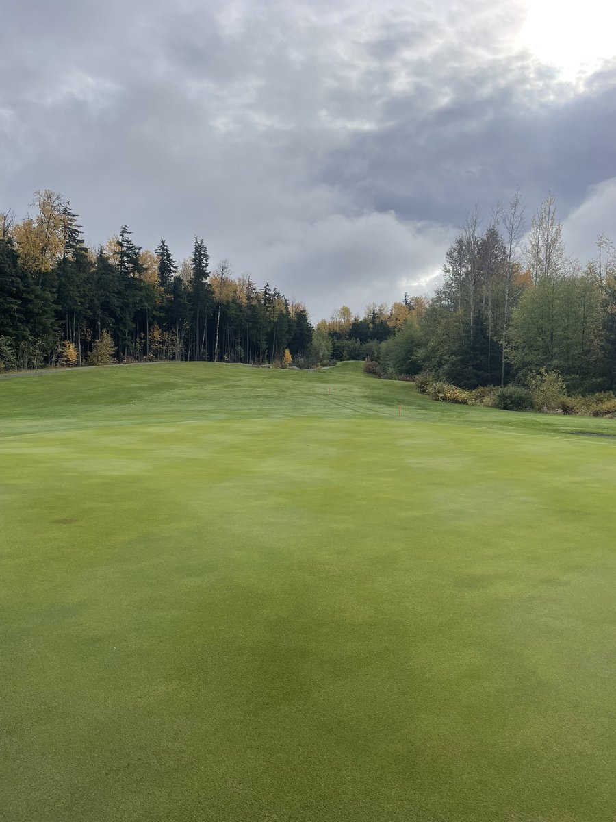 Another whole season without fungicide!!! Love it when things work out as planned. Will have to do an over winter app but haven’t put one drop of synthetic fungicide in 2024 yet. Cold and wet year this one and last fall. Northern Coast of BC, Canada. Who else can say this??