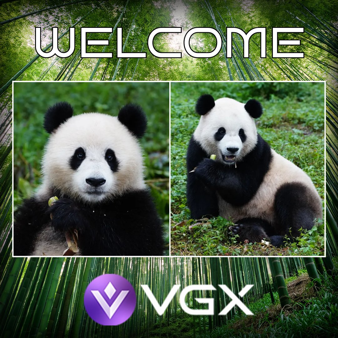 VGXFoundation's tweet image. $VGX would like to welcome the 2 new additions to the Washington DC @NationalZoo!🐼
Bao Li & Qing Bao are panda diplomats that represent strengthening bonds between China & the rest of the world.🌏
We value our Asian community & look forward to seeing more of them.
#DCPandas