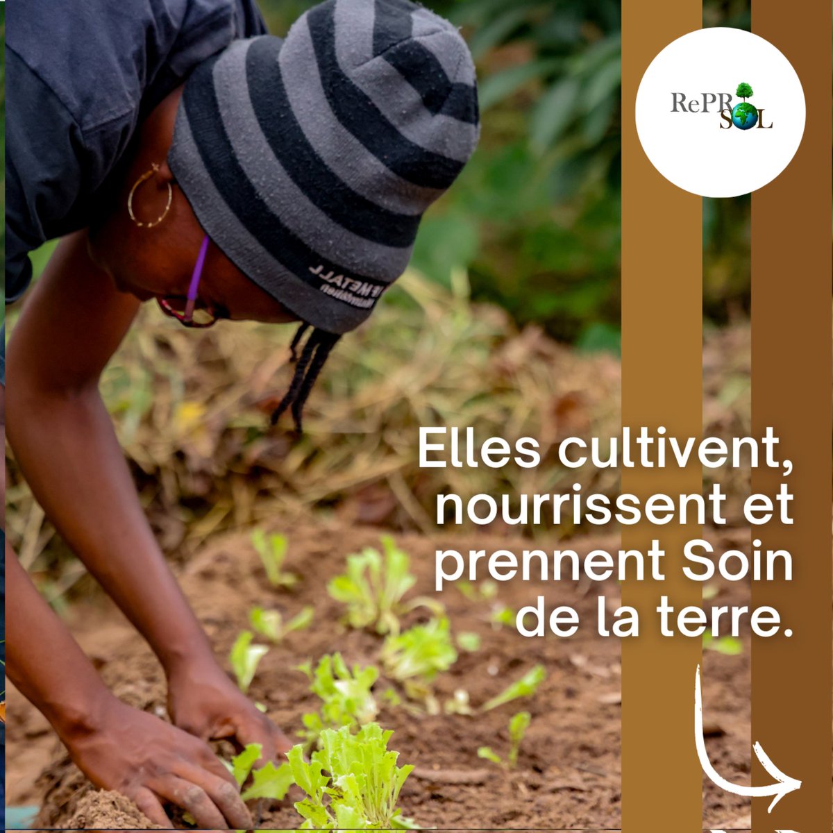 DuSol_tg's tweet photo. Ces femmes, souvent invisibles, sont pourtant essentielles à notre agriculture et à nos communautés. Elles cultivent la terre, nourrissent le monde et perpétuent des savoirs précieux.
#ReProSol
#IAASTOGO
#Agroecologie
#JournéeDesFemmesRurales #FemmesRurales #AgricultureDurable https://t.co/HAumrYCZG9