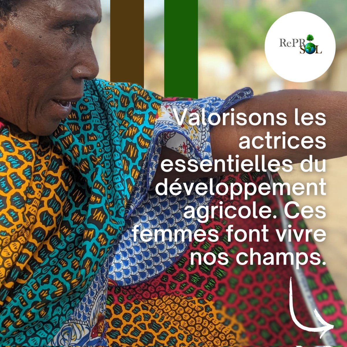 DuSol_tg's tweet photo. Ces femmes, souvent invisibles, sont pourtant essentielles à notre agriculture et à nos communautés. Elles cultivent la terre, nourrissent le monde et perpétuent des savoirs précieux.
#ReProSol
#IAASTOGO
#Agroecologie
#JournéeDesFemmesRurales #FemmesRurales #AgricultureDurable https://t.co/HAumrYCZG9