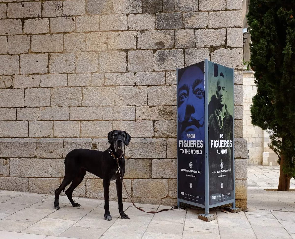 Figueres
15/10/2024
#Figueres