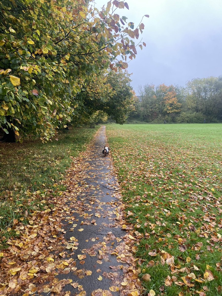 _bearByte's tweet image. It's raincoat season!