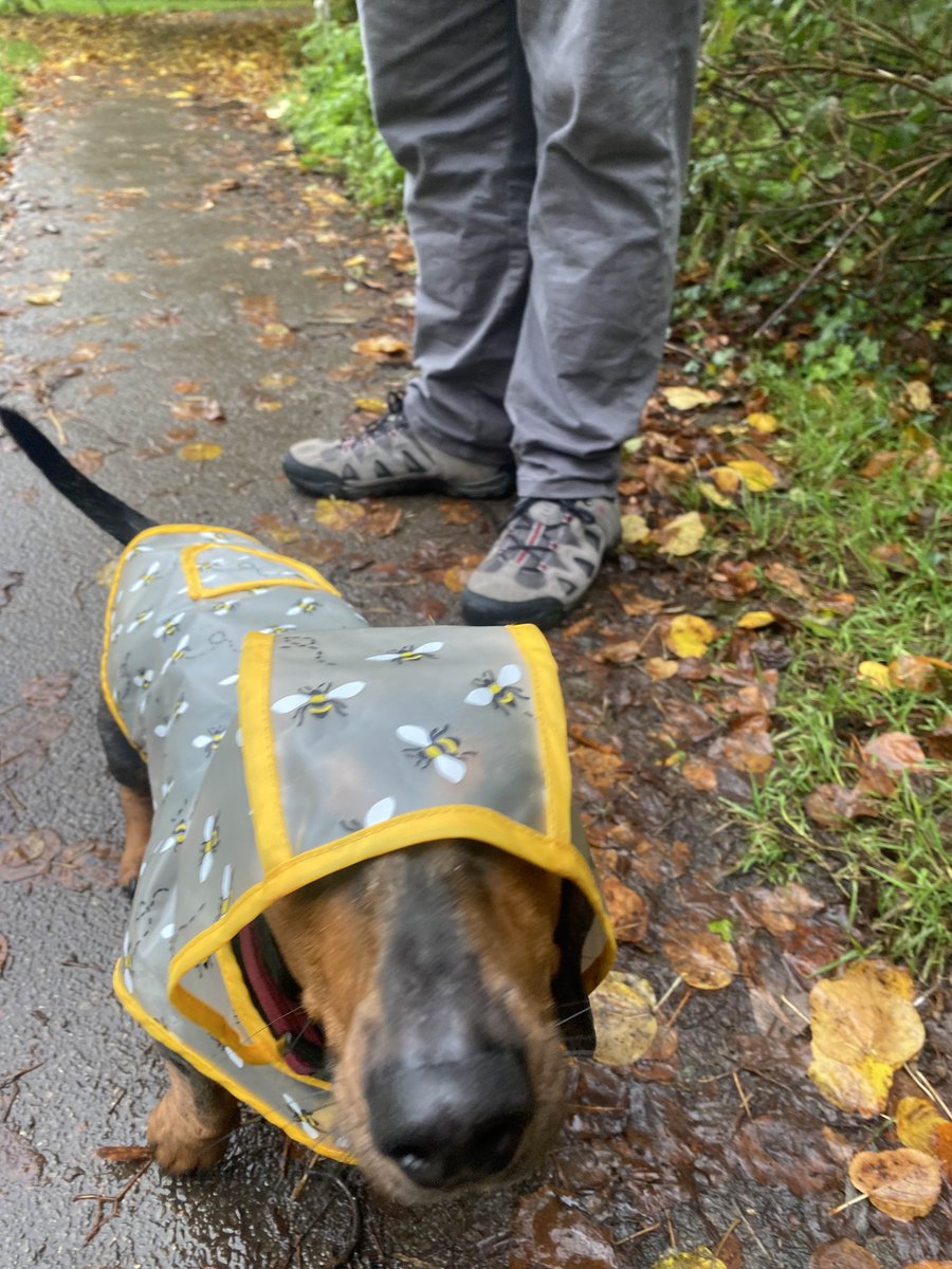 _bearByte's tweet image. It's raincoat season!