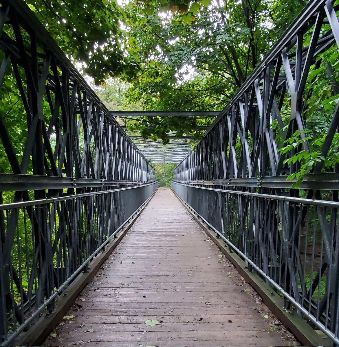 Nancy🐝🦋🌱 tweet media