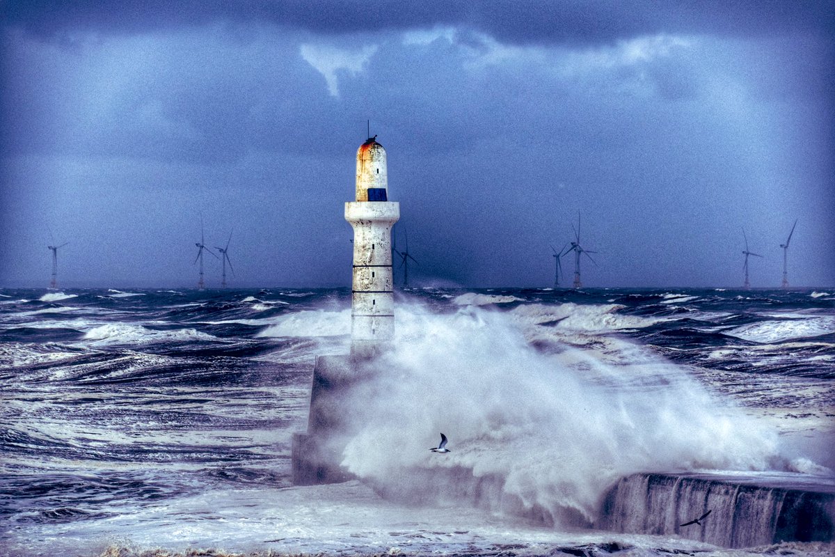 Natalie Hood tweet media