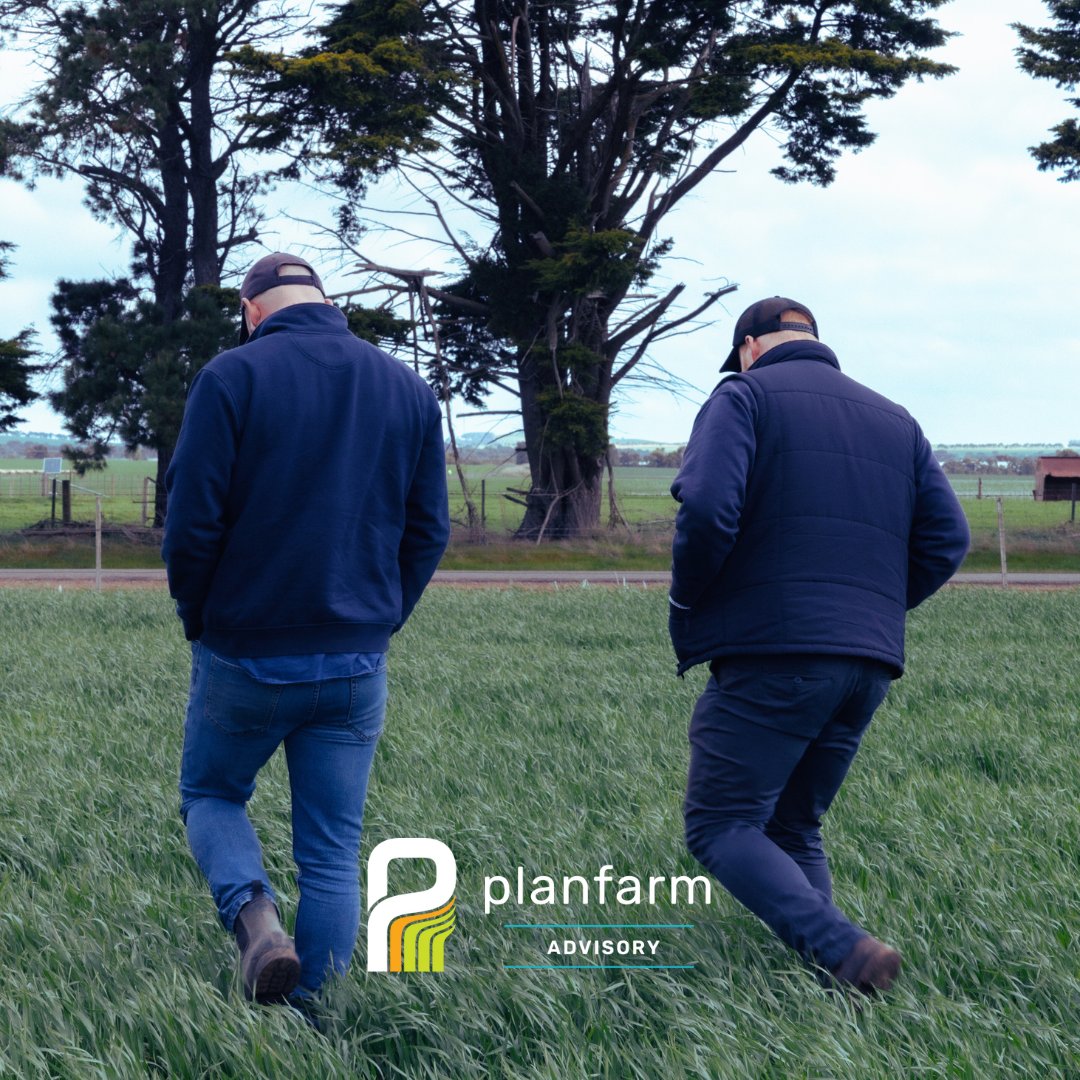 Planfarm Advisory tweet media