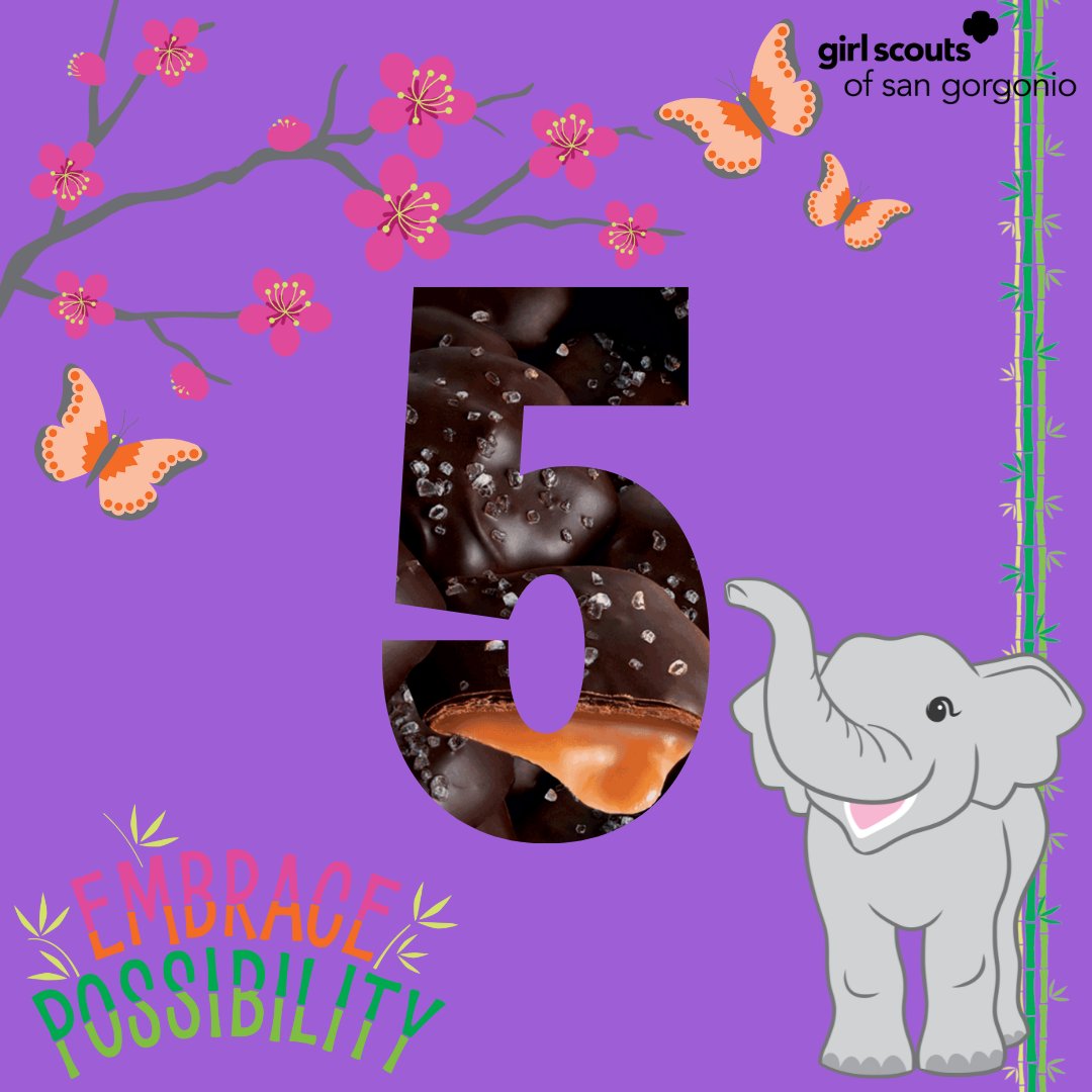 GirlScoutsSGC's tweet image. 🍬🥜🍁 5 days left for customers to place orders using Online Girl Delivery!

#GSSGC #GirlScoutsofSanGorgonio #GirlScouts #fallproductsale #nutsandcandies #inlandempire #girlboss #entreprenuership