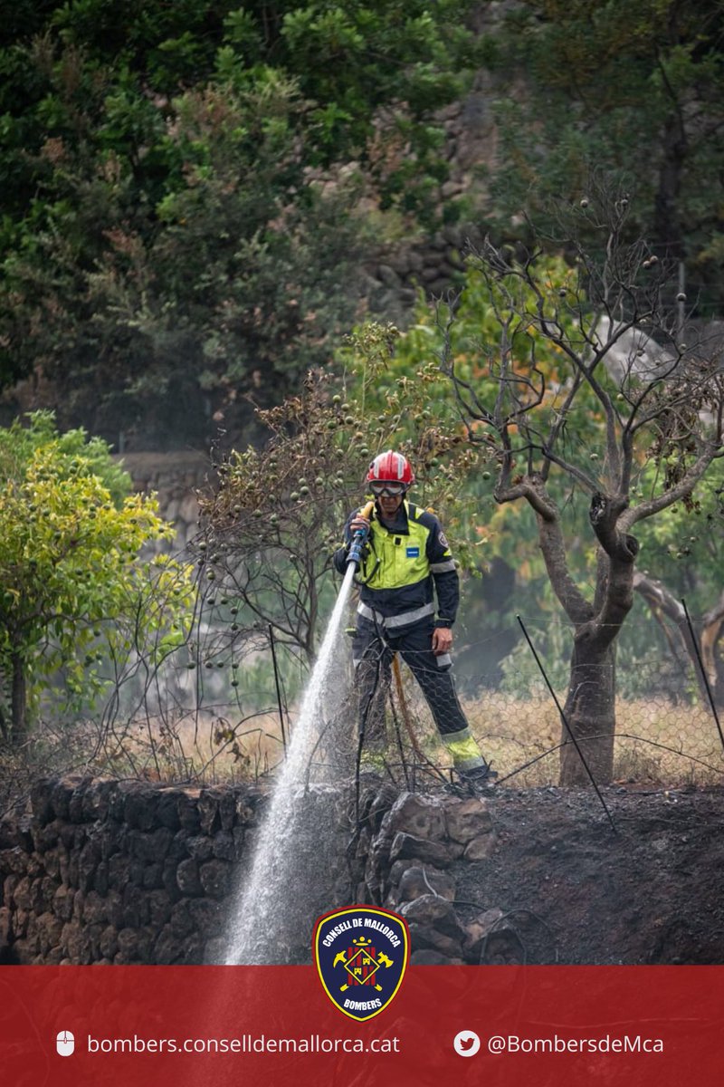 Incendi al torrent de Fornalutx. Degut al vent s'ha descontrolat una crema d'una finca dels voltants i s'ha incendiat el canyís de dins el torrent. 
<a href="/ibanat_IB/">IBANAT</a> 
 <a href="/plsoller/">POLICIA LOCAL SÓLLER</a>