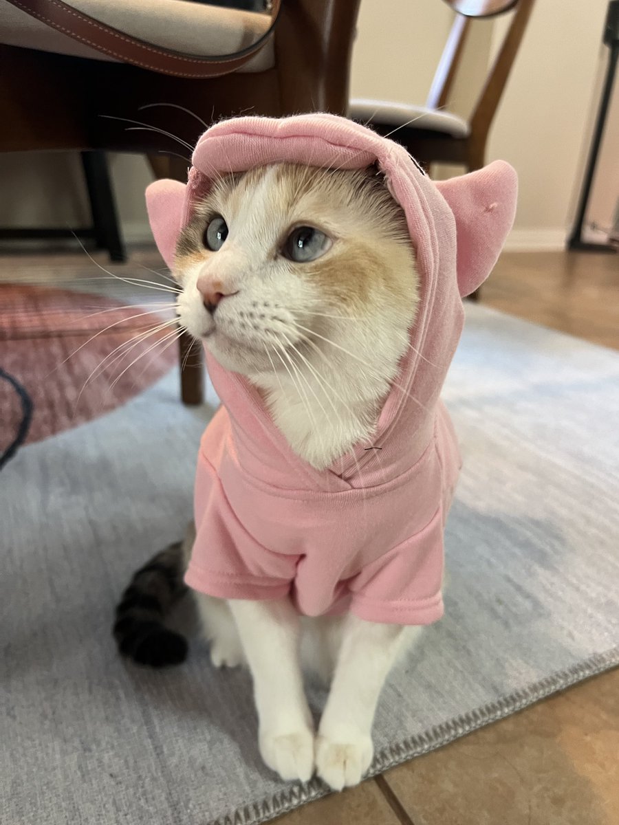 She has her piggie hoodie on