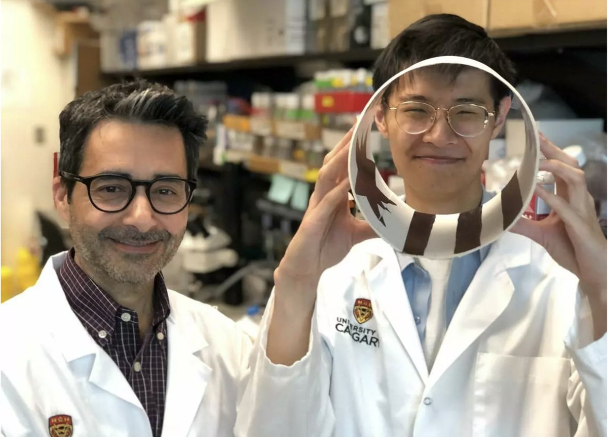 space_health's tweet photo. These UCalgary scientists are studying fruit flies to gain insights into effects of microgravity on human health. https://t.co/ytwK9hVyOX
Curious about their study and preliminary results? Join the Canadian Space Health Research Symposium to learn more! https://t.co/HLUwGJcmRU https://t.co/5k9BDZSokh