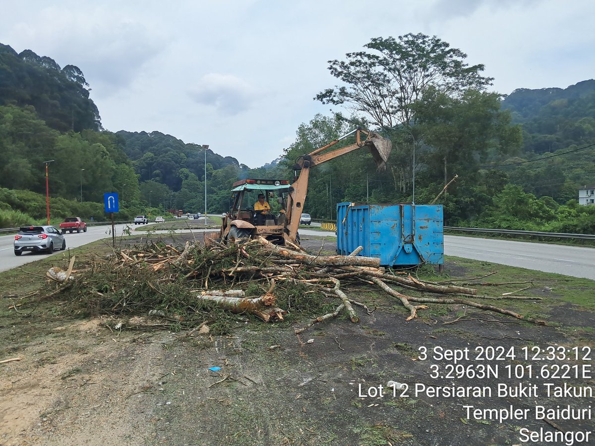 TreeSelangor's tweet image. 