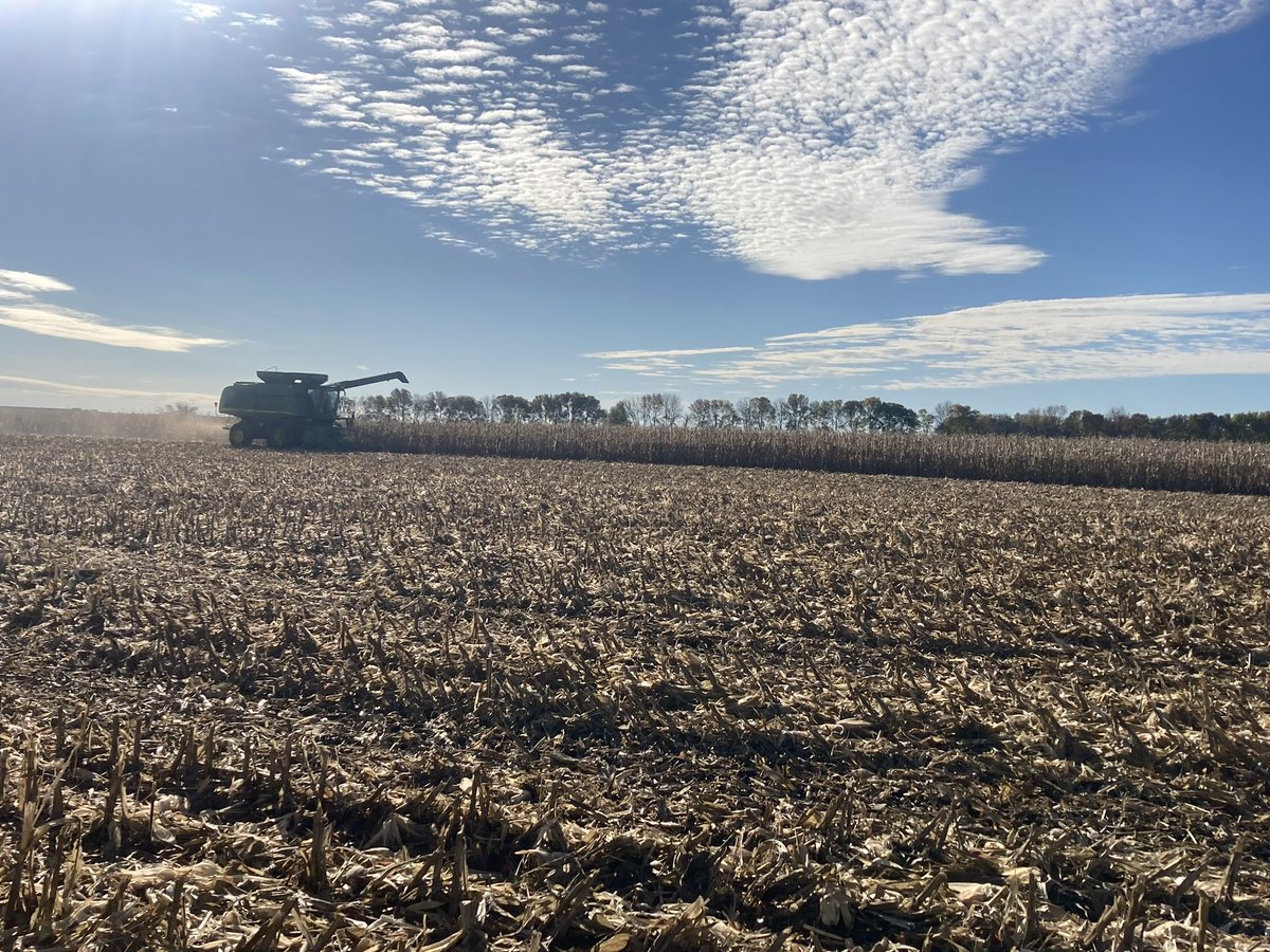 AgriGold (@agrigold) on Twitter photo What’s the most important thing a farmer can do once harvest is wrapped up? Test soils, says <a href="/GehrlsJake/">Jake Gehrls</a>. #AgriGold #PlantForIt
agrigold.com/resources/agro… What’s the most important thing a farmer can do once harvest is wrapped up? Test soils, says <a href="/GehrlsJake/">Jake Gehrls</a>. #AgriGold #PlantForIt
agrigold.com/resources/agro…