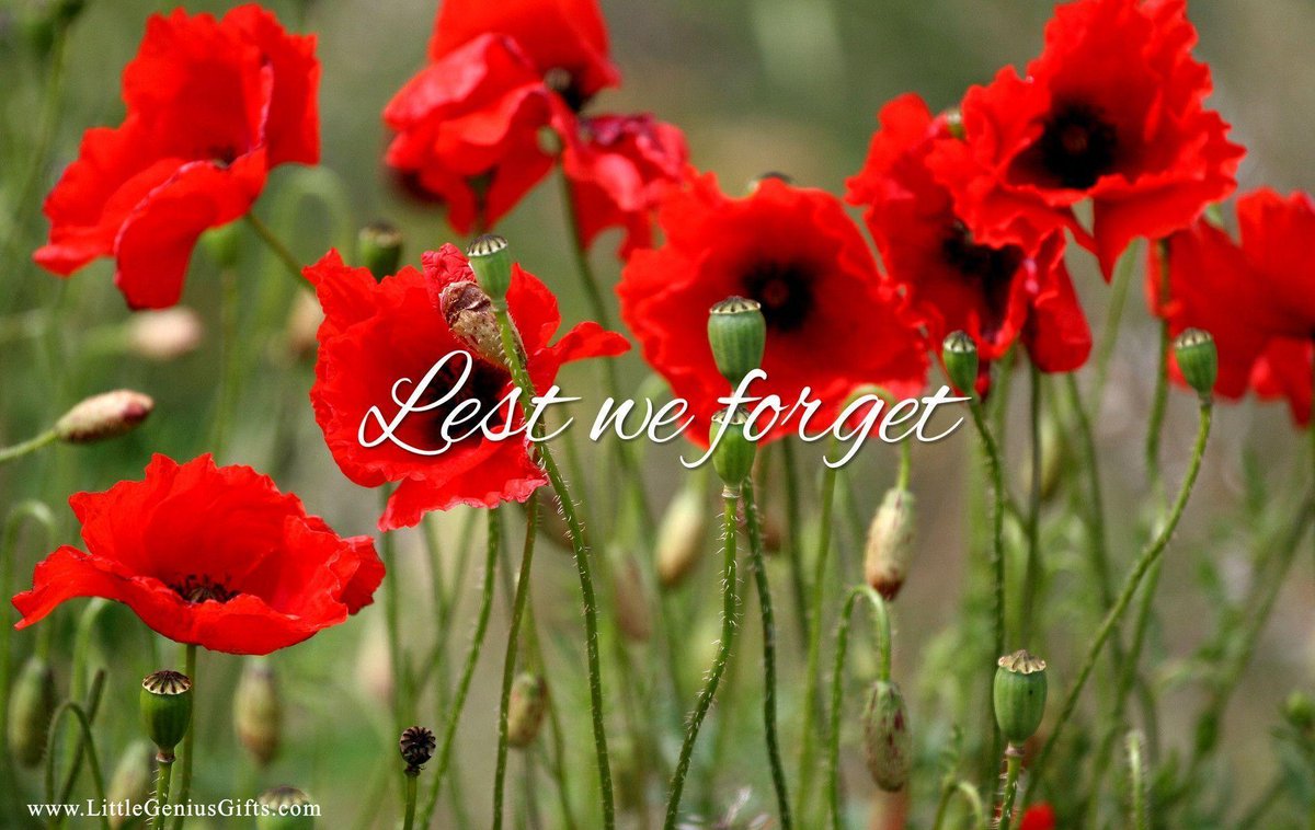Come and remember our fallen heroes and you shall be rewarded! Click the link to discover more - gloucesterchoral.com/concerts-and-e…