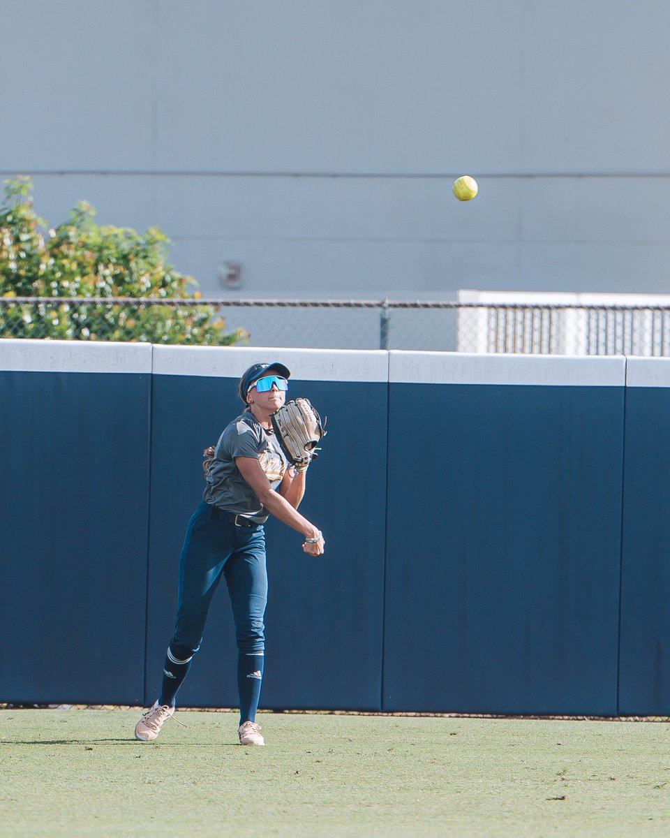 Fall Work 🔨

#PawsUp