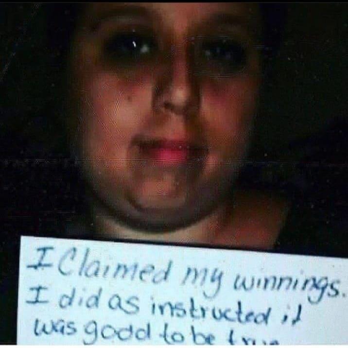 🇺🇲🇺🇲Dave Johnson 🇺🇲🇺🇲🌻🌻 (@davejoh598) on Twitter photo 