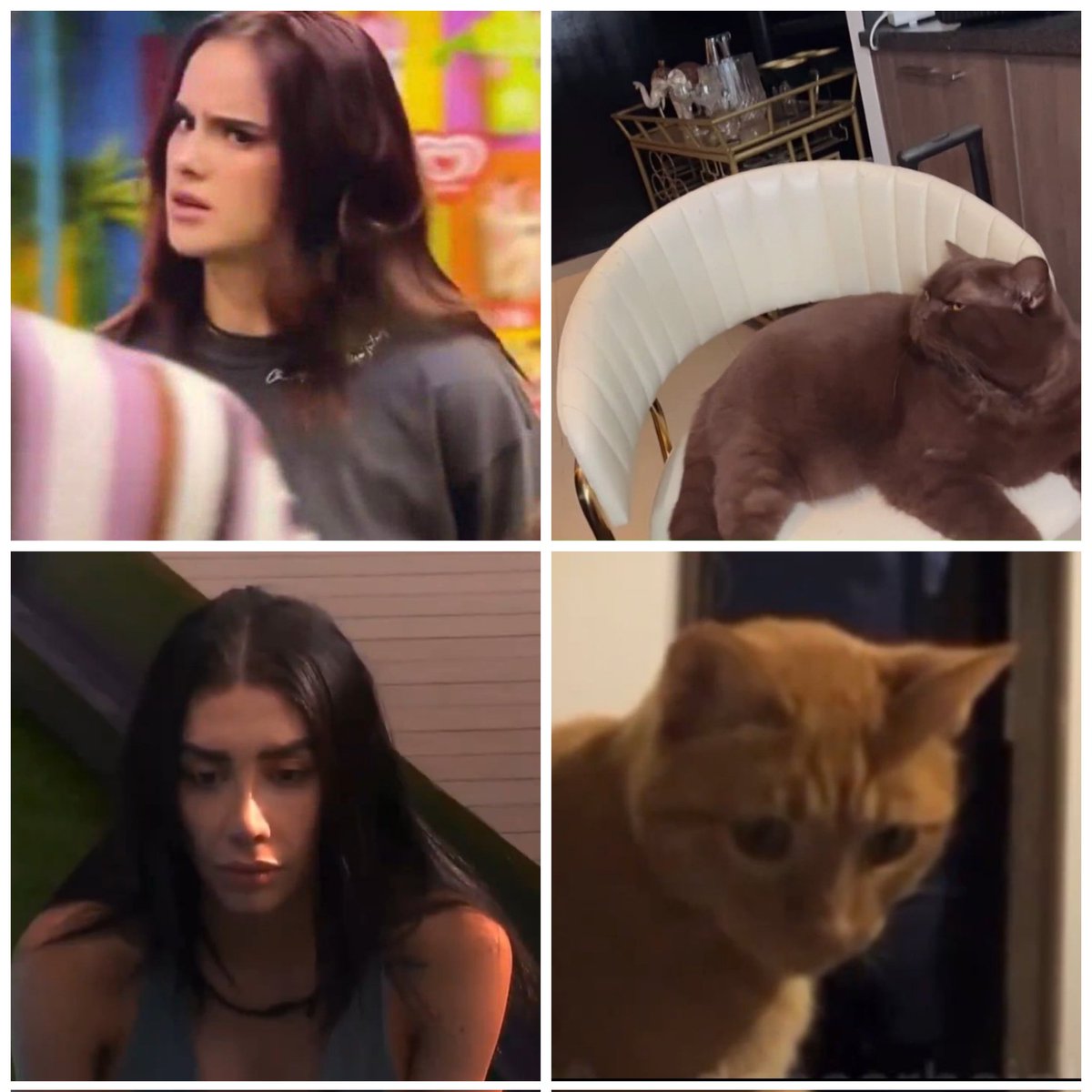 _yalitza's tweet image. Yo en realidad creo que se parecen más a sus futuras madres🫶🏻😂

Gala-Norris
Karime-Tato

#Garime #KarimePindter #GalaMontes