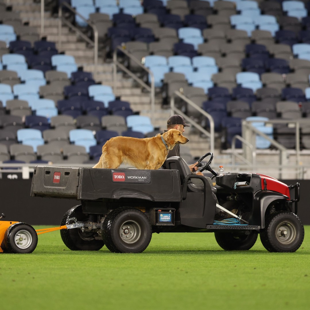 allianzfield's tweet photo. Kobe appreciation post!

The best helper to our grounds crew 🐾 https://t.co/zU5sjUSrJ2