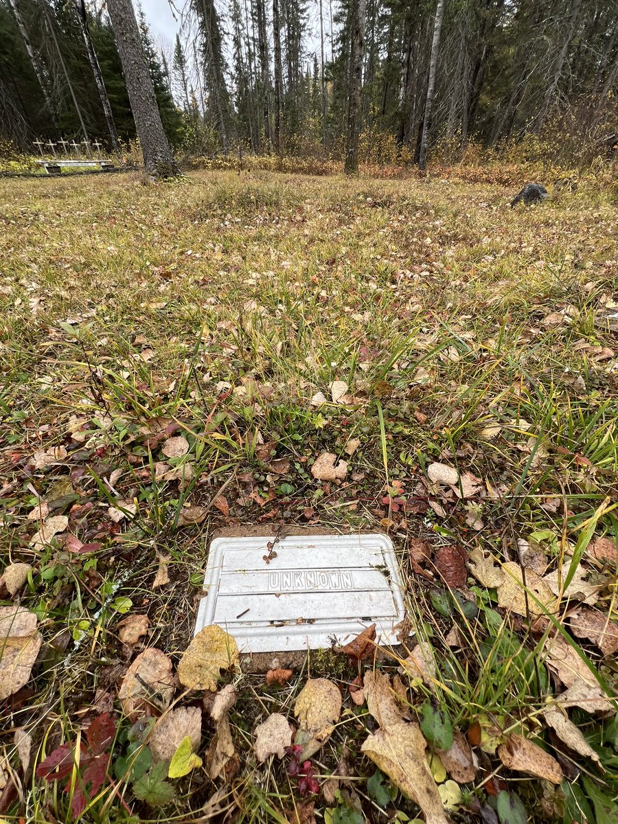 Andrew Krueger tweet media