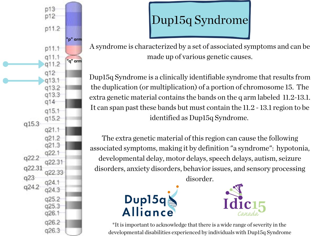 dup15q's tweet image. October 15th is known as Idic15 World Awareness Day. Over the years, through dedicated clinical research and improvements in genetic testing, several other variations of Dup15q syndrome, including interstitial and mosaic, have been identified.

#Dup15q #Idic15 #Interstitial
