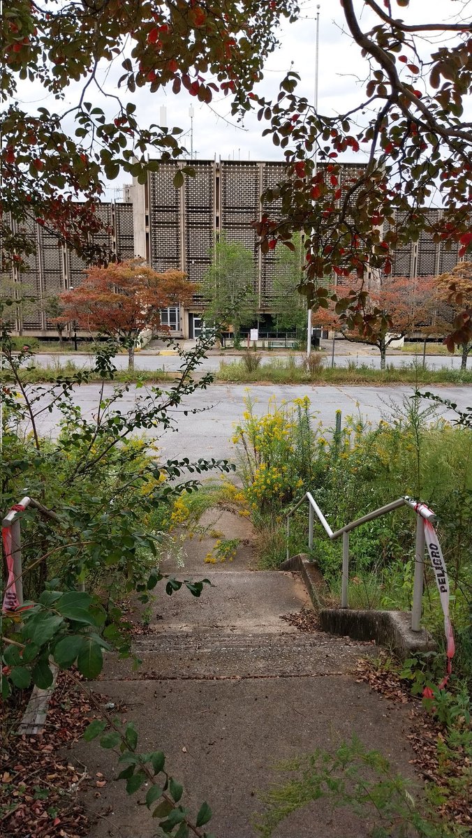 LiferGraffiti's tweet image. Don't mind me....just visiting Hawkins Lab 😱

#StrangerThings #HawkinsLab