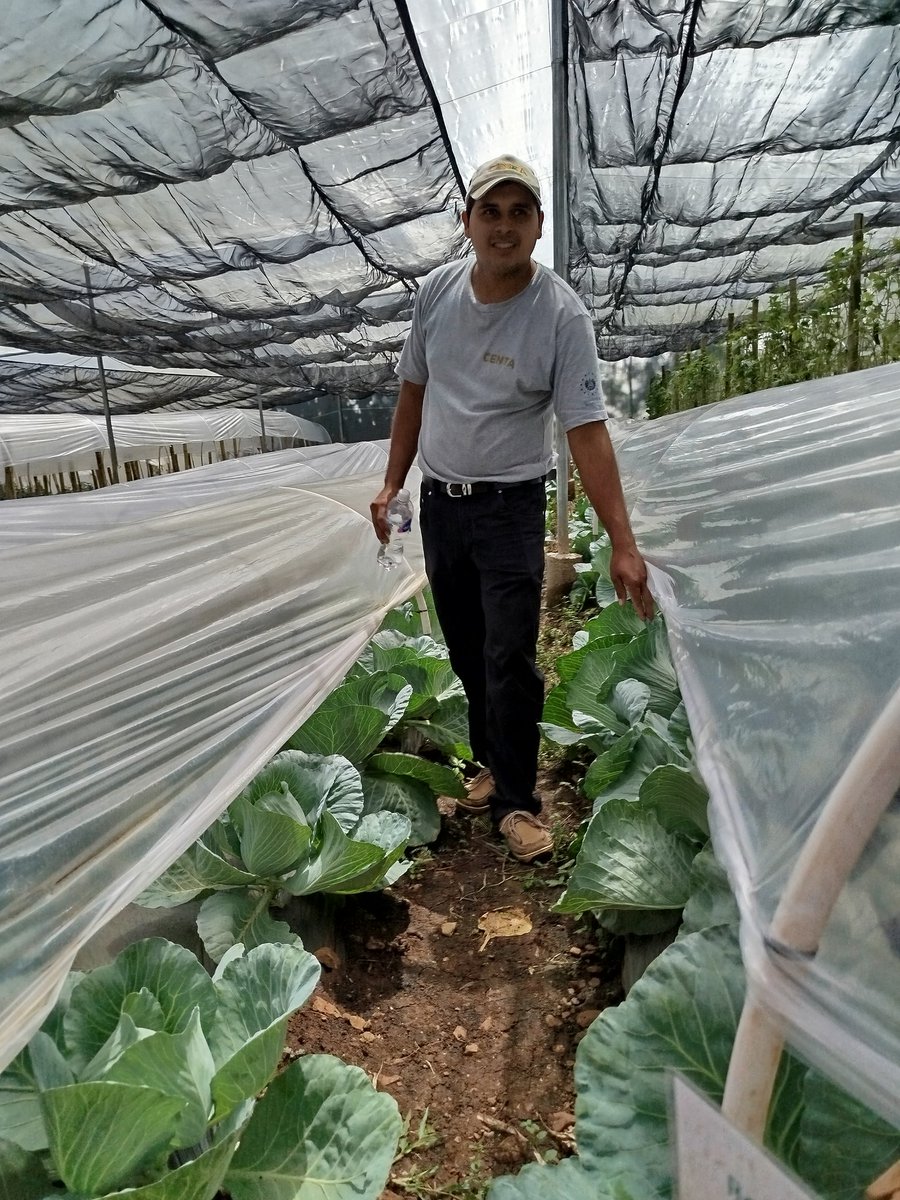 El proyecto cuenta con la colaboración de <a href="/CENTAELSALVADOR/">CENTA EL SALVADOR</a>  en Osicala, el Instituto Nacional de Innovaciones y Transferencias en Tecnología Agropecuaria de Costa Rica (INTA) y la agencia de cooperación internacional de Corea (KOICA).
<a href="/elsalvador/">Diario El Salvador</a>