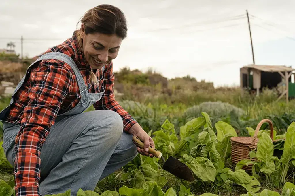 Minority & Veteran Farmers of the Piedmont tweet media