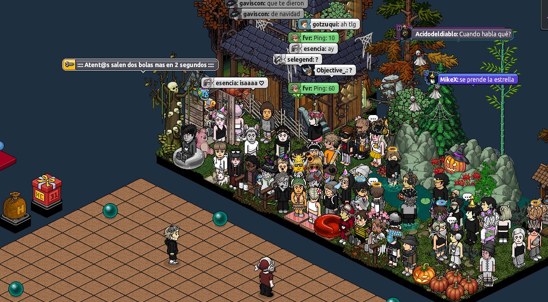 Imagen 19