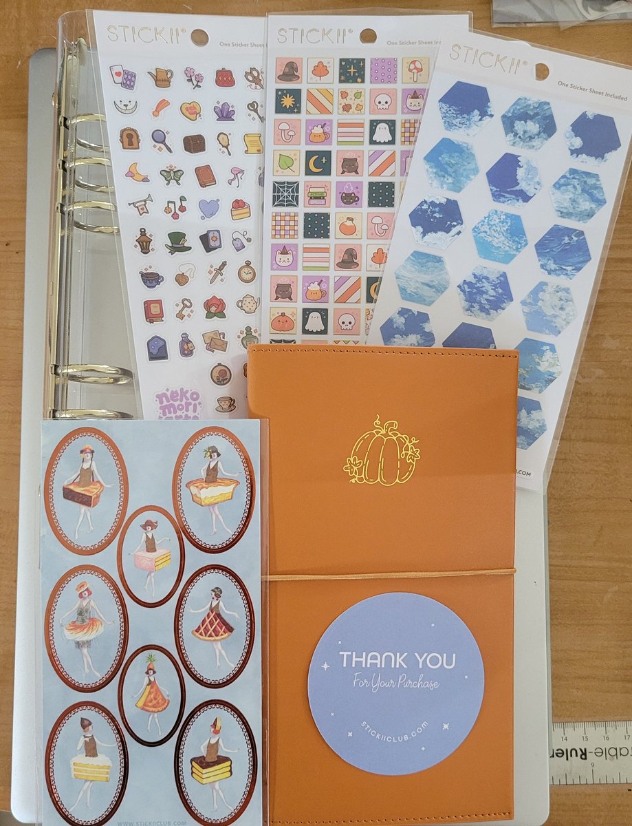 flauntingdante's tweet photo. Found a sticker subscription I adore the art of and ordered some organizers to keep everything together! #STICKII https://t.co/xTxtp2JtUa