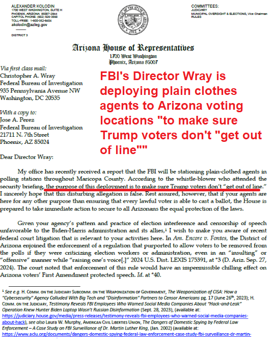 2Trump2024's tweet photo. What is going on?!
The FBI will be sending plain clothes agents to Arizona voting locations to "make sure Trump voters don't get out of line"
I don't even have words.
Wray should be impeached and tossed into prison for life for freaking treason. That should have happened a long time ago!
Is this even legal?!